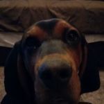 Fairview Terrace Mobile Home Park