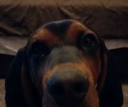 Fairview Terrace Mobile Home Park