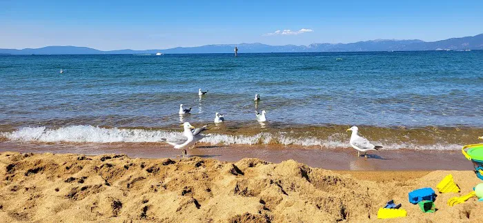 Baldwin Beach Picture 5