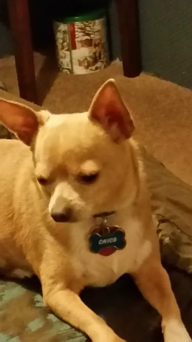 Fawn Creek Homes Ltd Picture 9