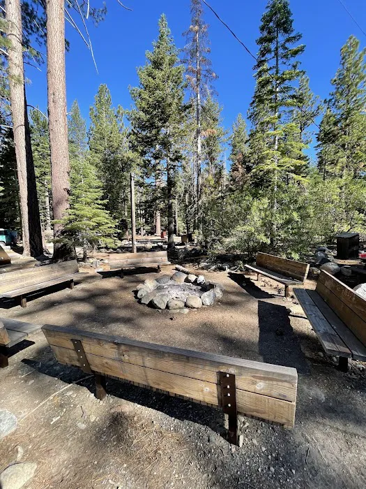 Camp Shelly Picture 3
