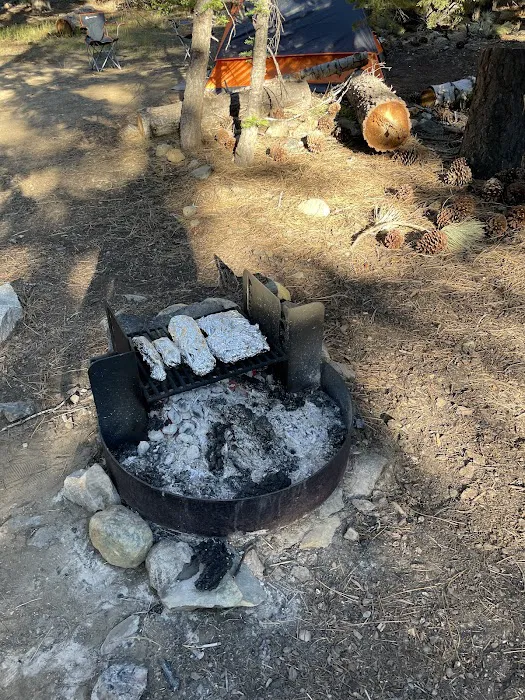 Camp Shelly Picture 8