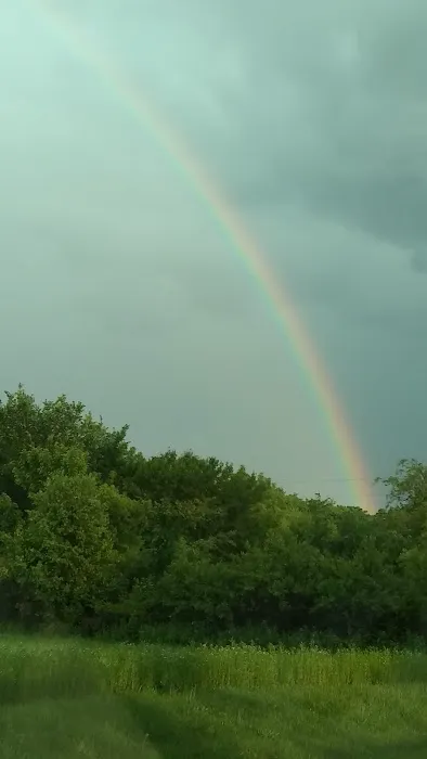 Carlton Mobile Home Court Picture 2