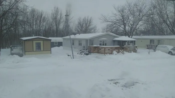 Carlton Mobile Home Court Picture 3