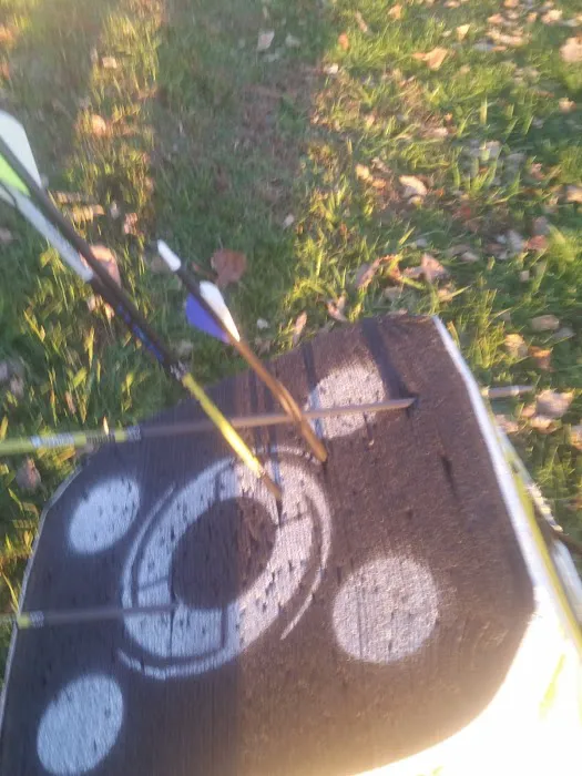 Carlton Mobile Home Court Picture 5