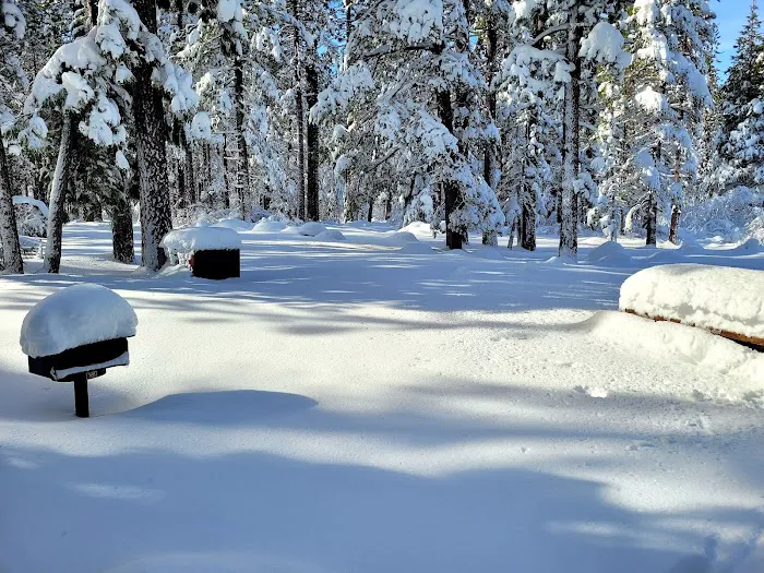 Fallen Leaf Campground Picture 7