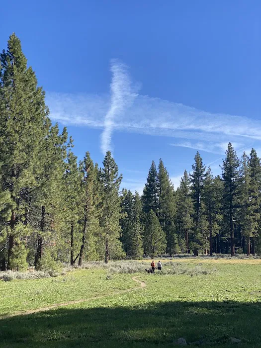 Fallen Leaf Campground Picture 6