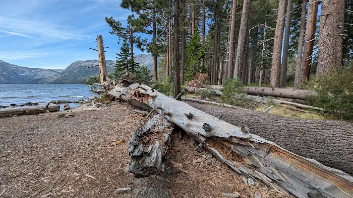 Fallen Leaf Campground Picture 8
