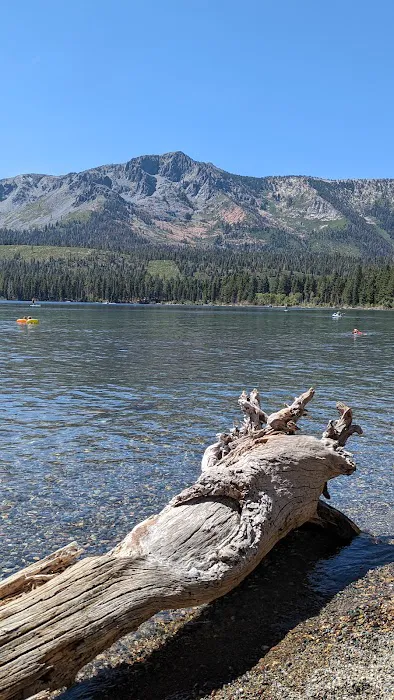 Fallen Leaf Campground Picture 9