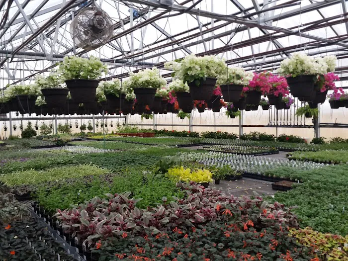 Squaw Creek Village Picture 1