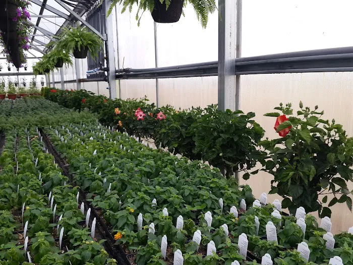 Squaw Creek Village Picture 4