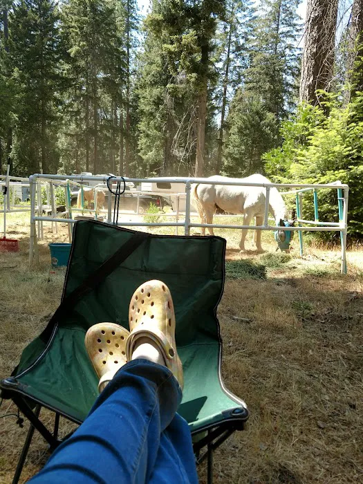 Dru Barner Campground Picture 3