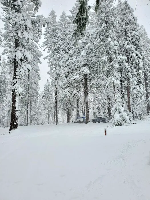 Dru Barner Campground Picture 5