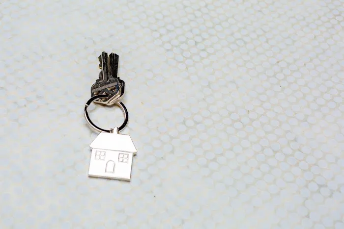 Modern Manor Picture 3