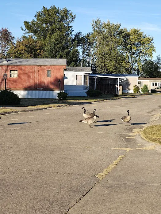 Bon-Aire Mobile Home Lodge Picture 10