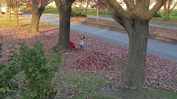 Bon-Aire Mobile Home Lodge Picture 6