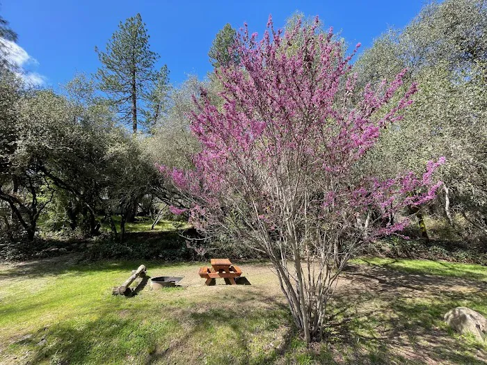 Camp Lotus Picture 2