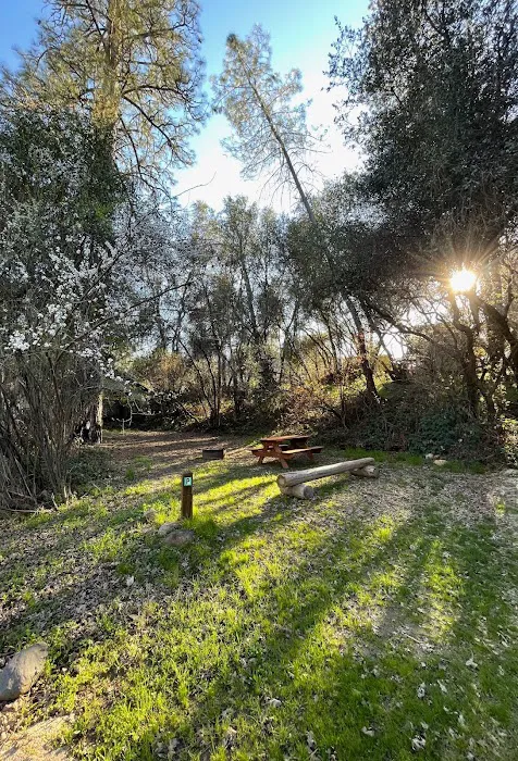 Camp Lotus Picture 8