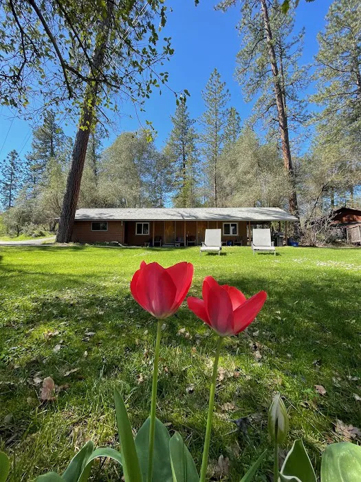 Camp Lotus Picture 6