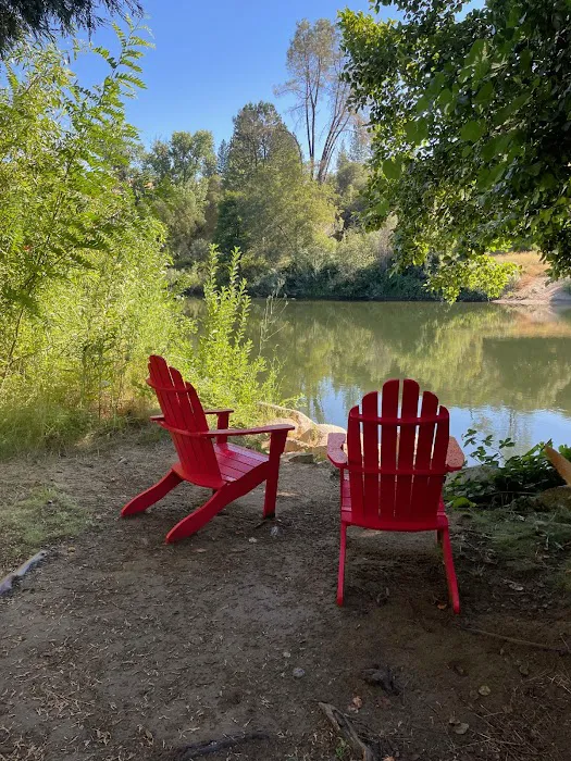 Camp Lotus Picture 10