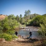 Thousand Trails Ponderosa