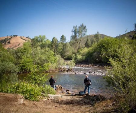 Thousand Trails Ponderosa