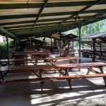 EarthTrek Expeditions