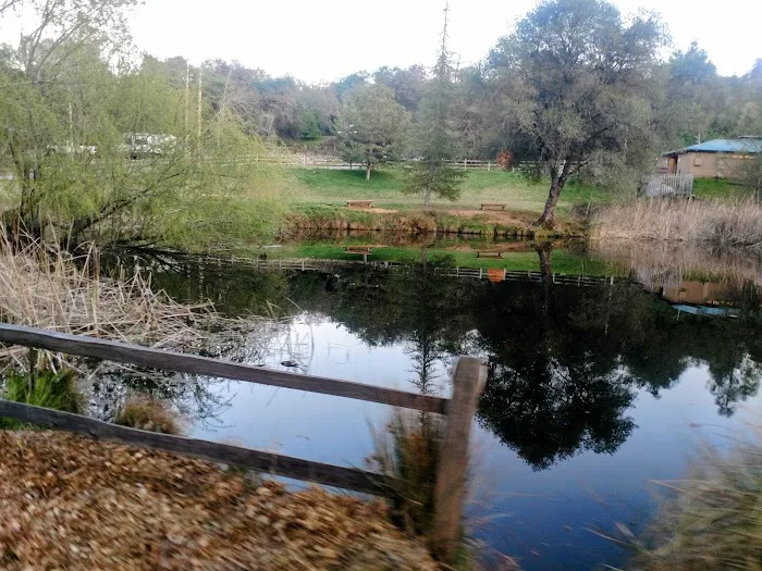 American River Resort Picture 3