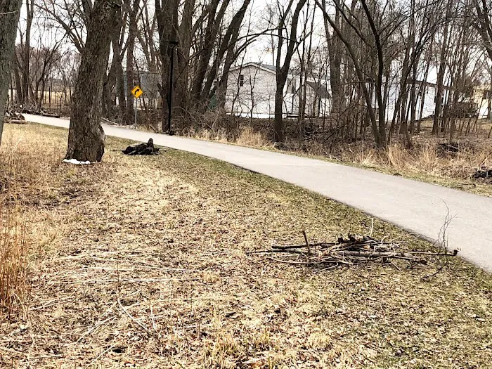 Holiday Mobile Home Court Picture 3