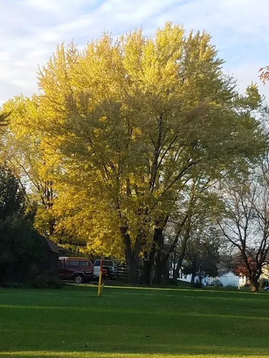 Holiday Mobile Home Court Picture 10