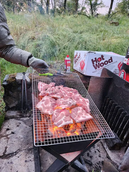 Peninsula Campground Picture 6