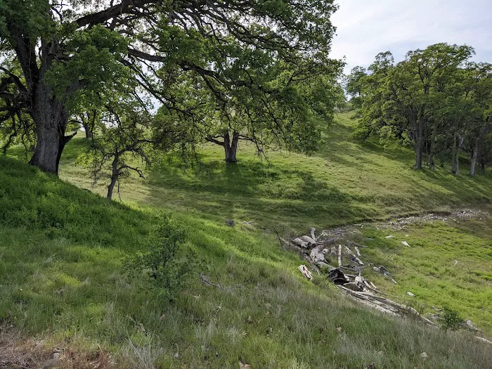 Peninsula Campground - Folsom Lake Picture 10