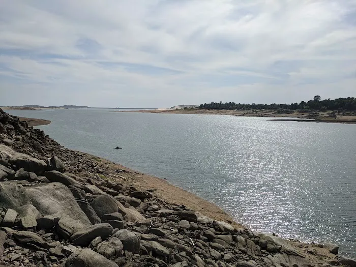 Peninsula Campground - Folsom Lake Picture 4