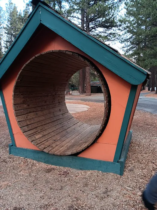 Tahoe Valley Campground Picture 2