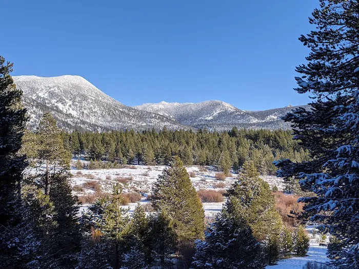 Tahoe Valley Campground Picture 5