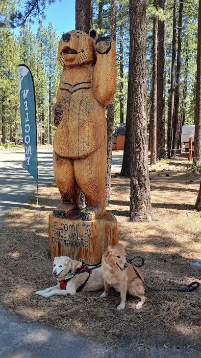 Tahoe Valley Campground Picture 8