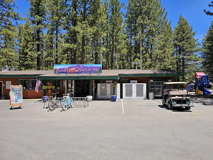 Tahoe Valley Campground Picture 4