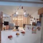 Lake Tahoe KOA Journey