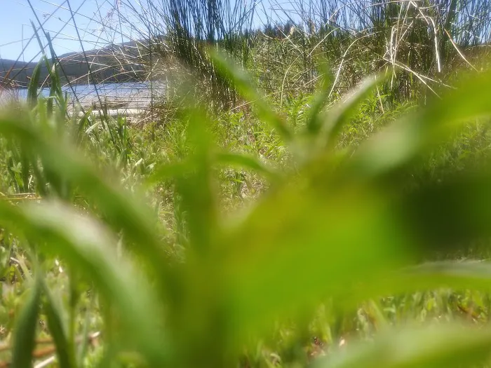 West Point Campground Picture 7