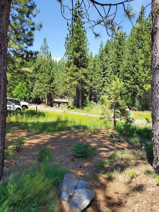 West Point Campground Picture 10