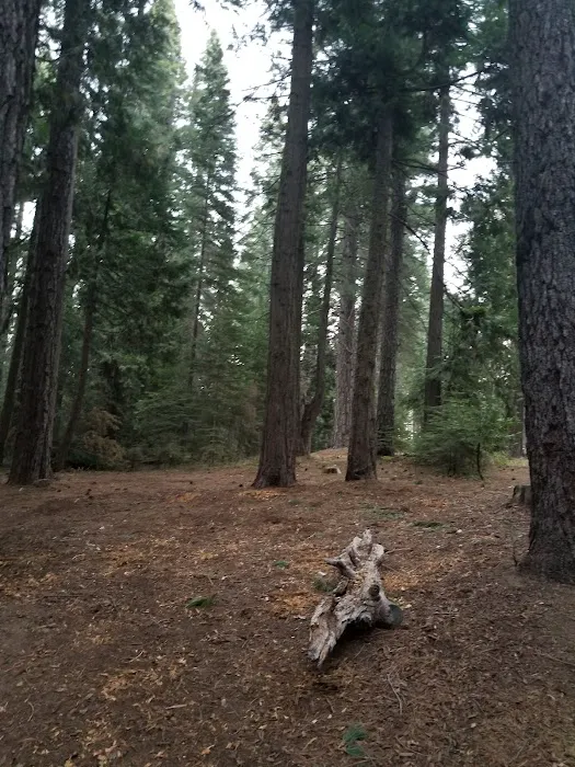 West Point Campground Picture 6