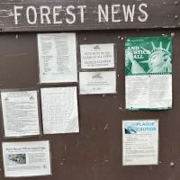 Black Oak Group Campground ico