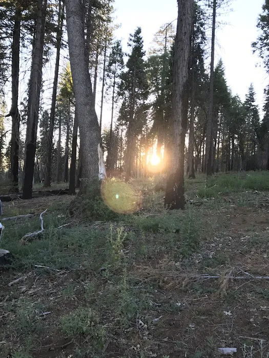 Black Oak Group Campground Picture 10