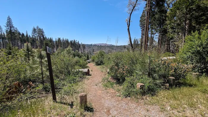 Black Oak Group Campground Picture 6