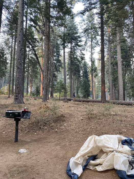 Stumpy Meadows Campground Picture 3
