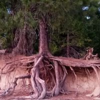 Sunset Campground ico