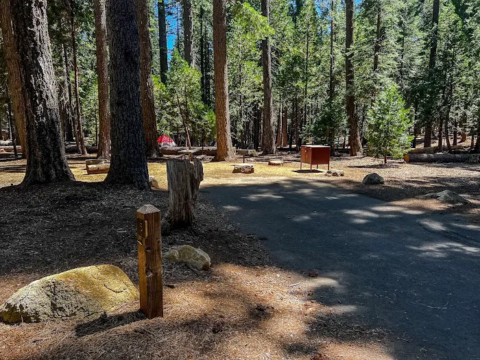 Sunset Campground Picture 5