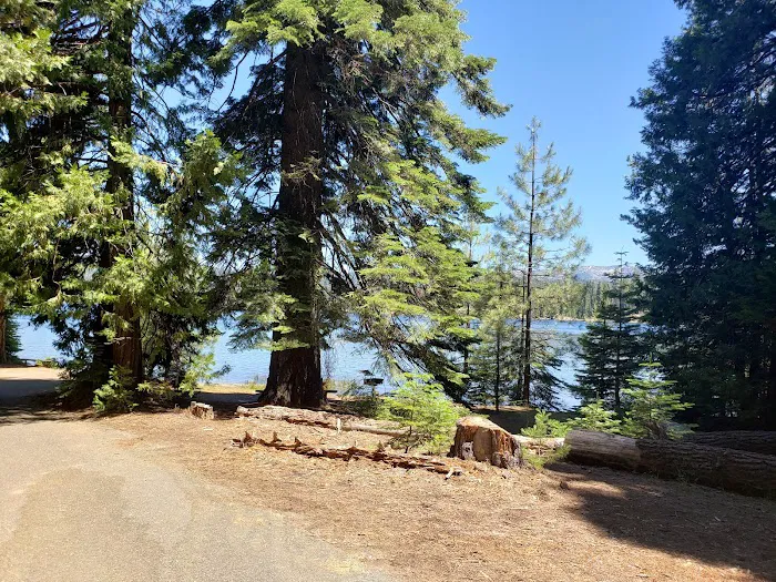 Fashoda Campground Picture 1