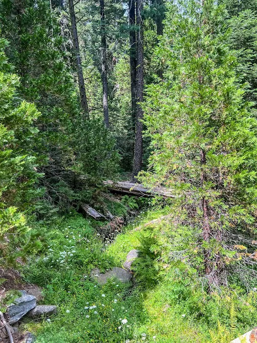 Lone Rock Campground Picture 4
