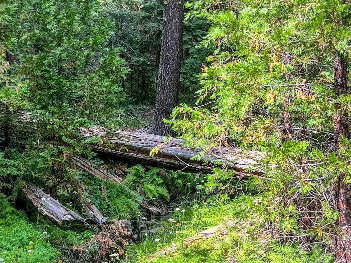 Lone Rock Campground Picture 9